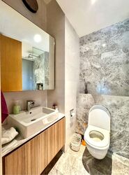 The Peak @ Cairnhill I (D9), Apartment #470454621